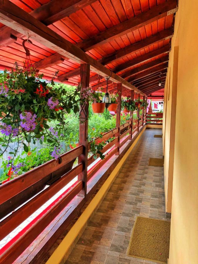 Casa Boico Hotel Гура Хуморулуй Екстериор снимка
