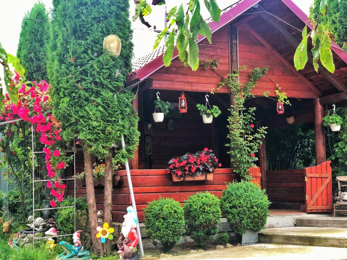 Casa Boico Hotel Гура Хуморулуй Екстериор снимка